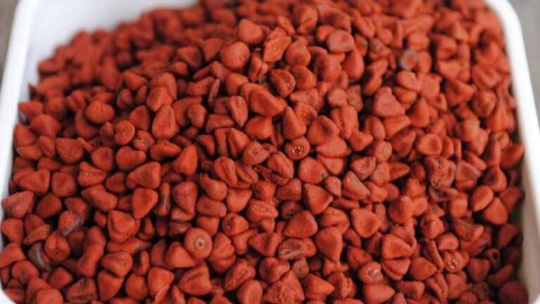 achiote5.3 768x432