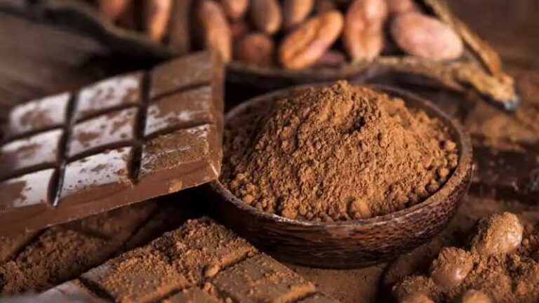 cacao3 1 768x432