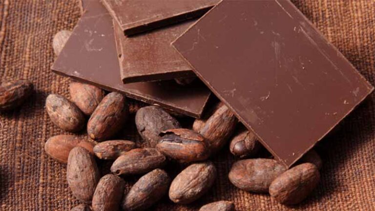 cacao9 768x432